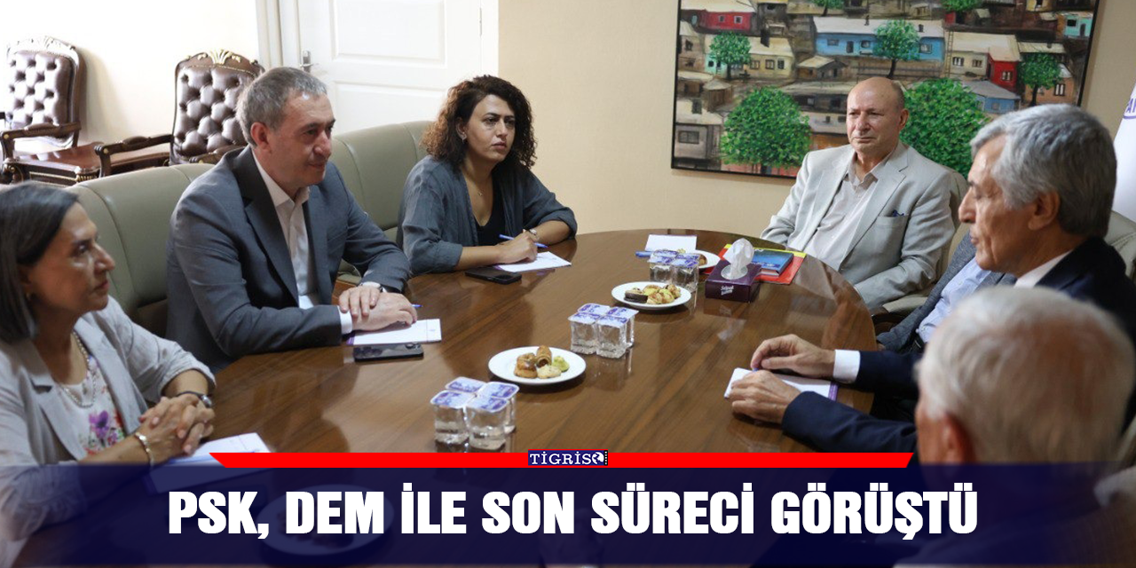 PSK, DEM ile son süreci görüştü