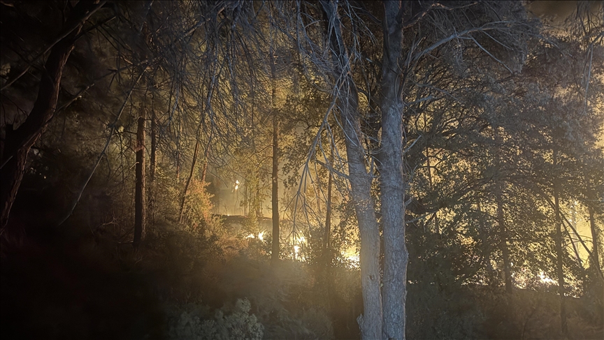 Orman yangınlarıyla mücadele eden gönüllülerin hakları yeniden düzenlendi