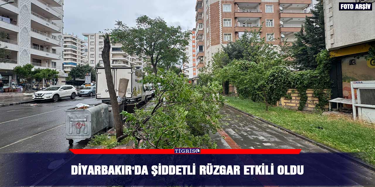 Diyarbakır'da şiddetli rüzgar etkili oldu