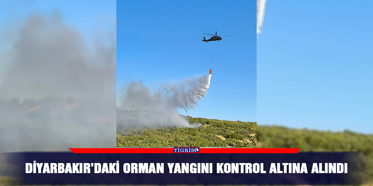 Diyarbakır’daki orman yangını kontrol altına alındı