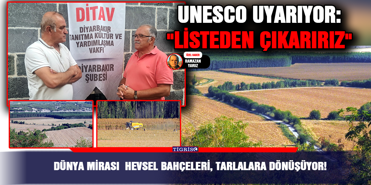 VİDEO - Dünya mirası  Hevsel Bahçeleri, tarlalara dönüşüyor!