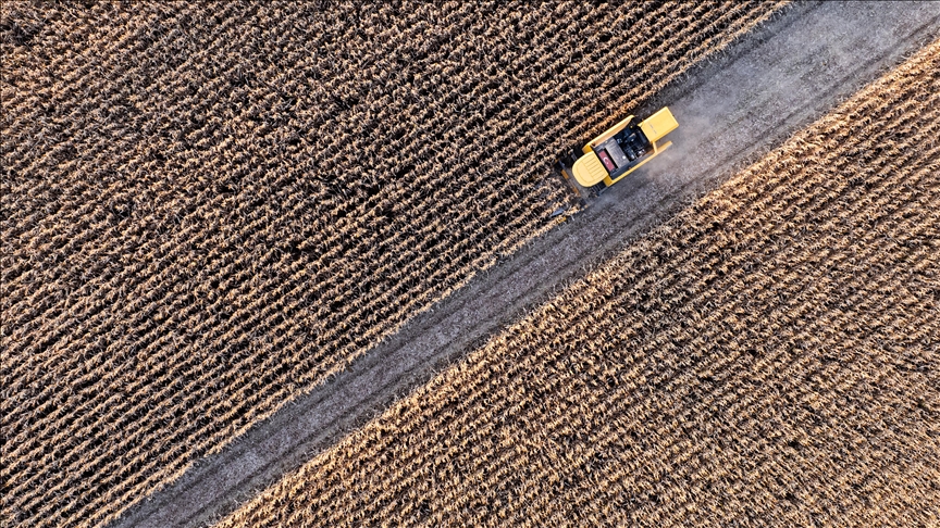 Tarımsal girdi fiyat endeksi arttı