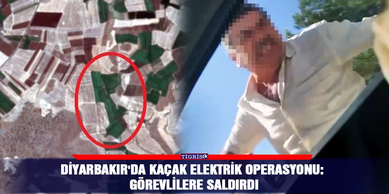 Diyarbakır'da kaçak elektrik operasyonu: Görevlilere saldırdı