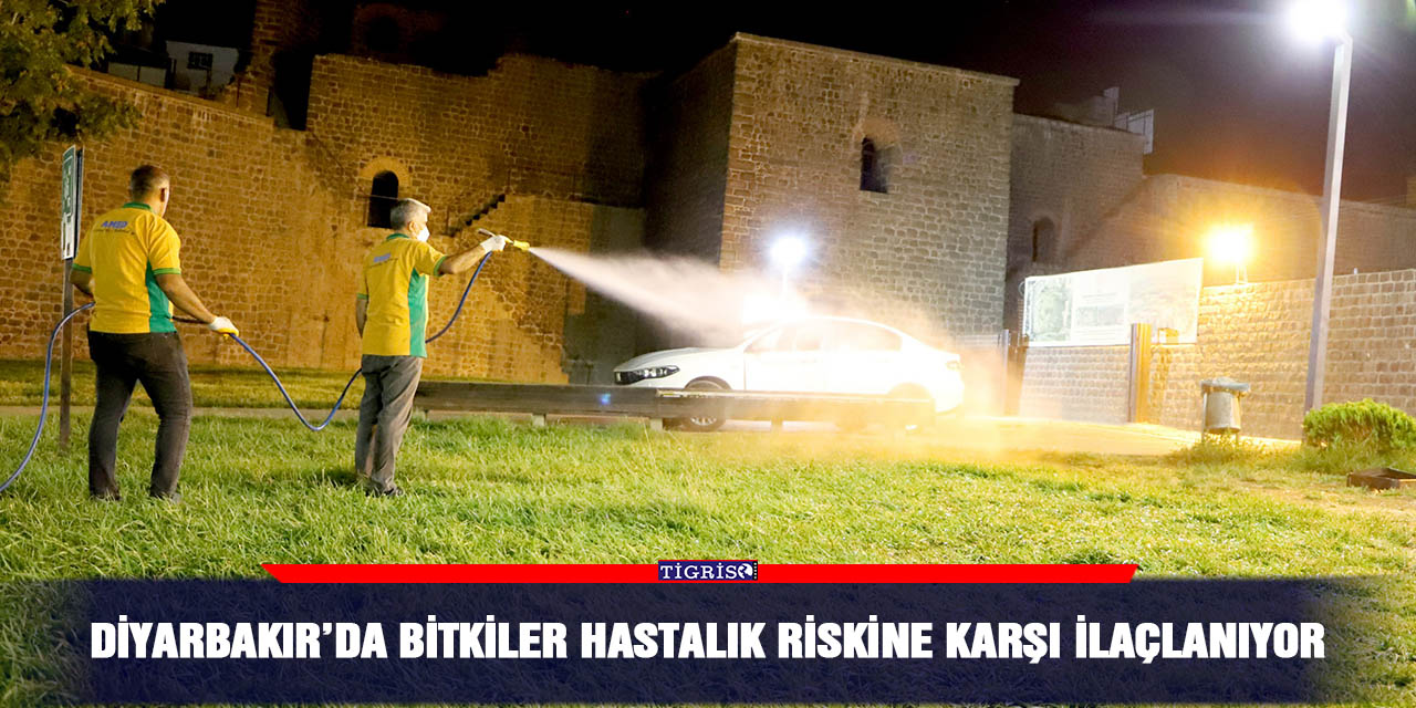 Diyarbakır’da bitkiler hastalık riskine karşı ilaçlanıyor