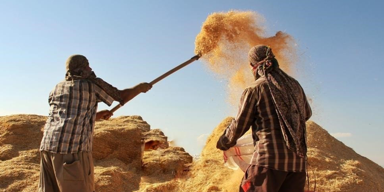 Tarımsal girdi fiyat endeksi arttı