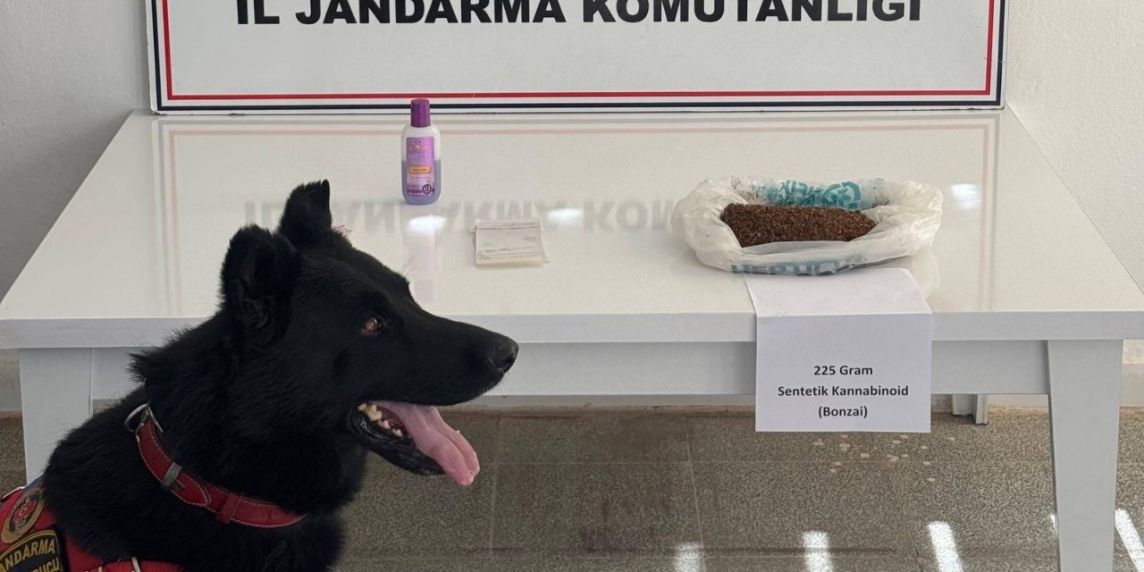 Muş'ta uyuşturucu operasyonu: 2 gözaltı