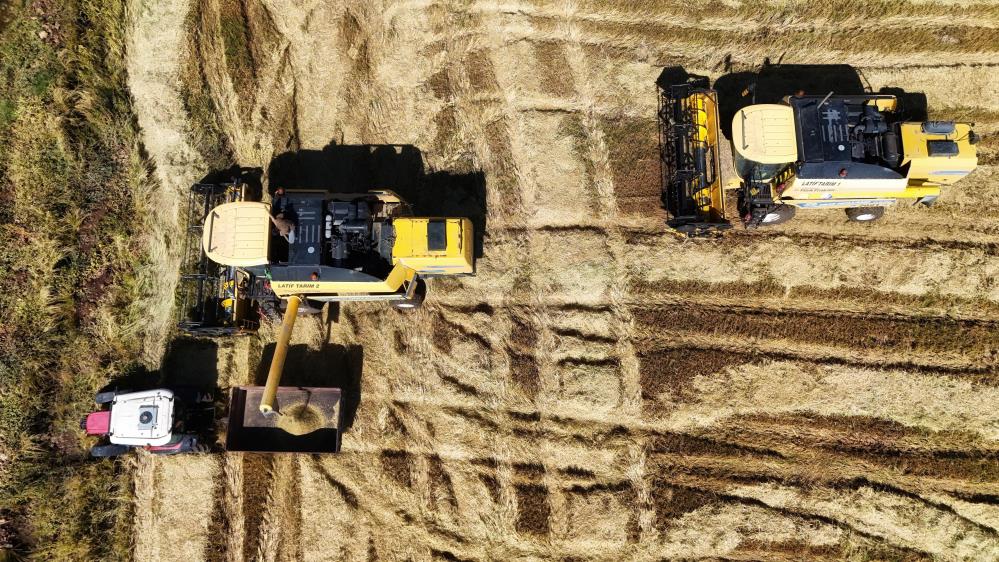 VİDEO - Karacadağ pirincinde hasat zamanı