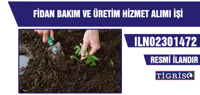 FİDAN BAKIM VE ÜRETİM HİZMET ALIMI İŞİ