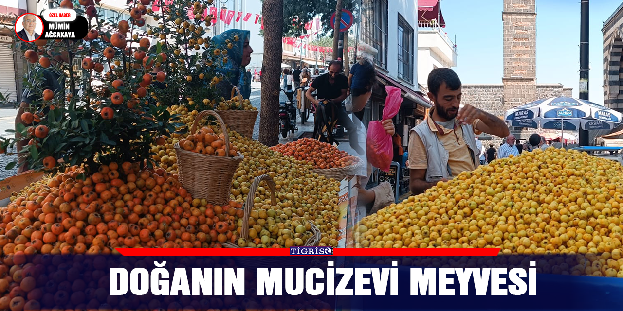 Doğanın mucizevi meyvesi