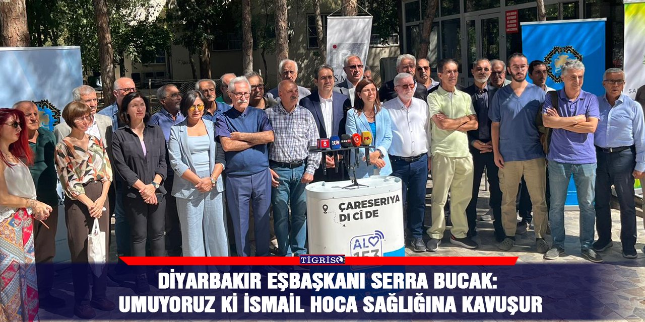 Diyarbakır Eşbaşkanı Serra Bucak: Umuyoruz ki İsmail Hoca sağlığına kavuşur