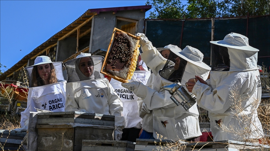 Kadınlar merada kara kovan balı üretiyor