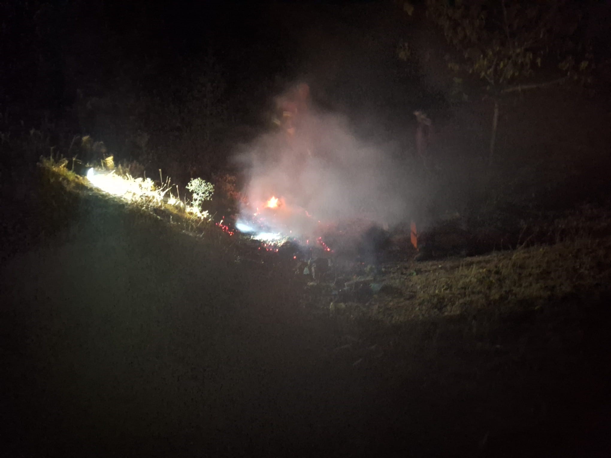 Bingöl’de çıkan yangın söndürüldü