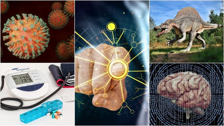 Öne çıkan bilimsel gelişmeler ve keşifler