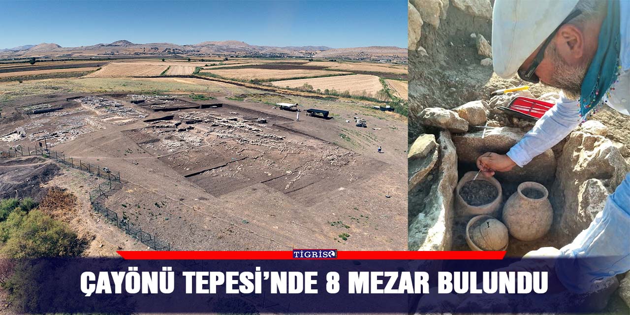 Çayönü Tepesi’nde 8 mezar bulundu
