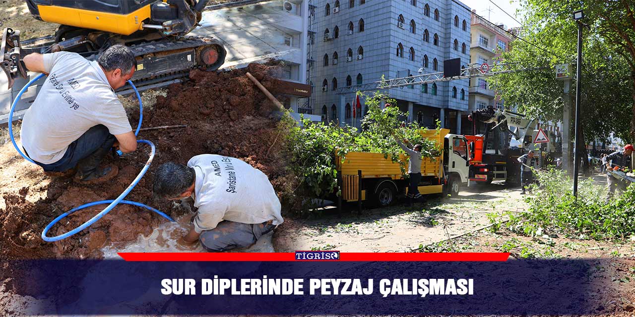 Sur diplerinde peyzaj çalışması