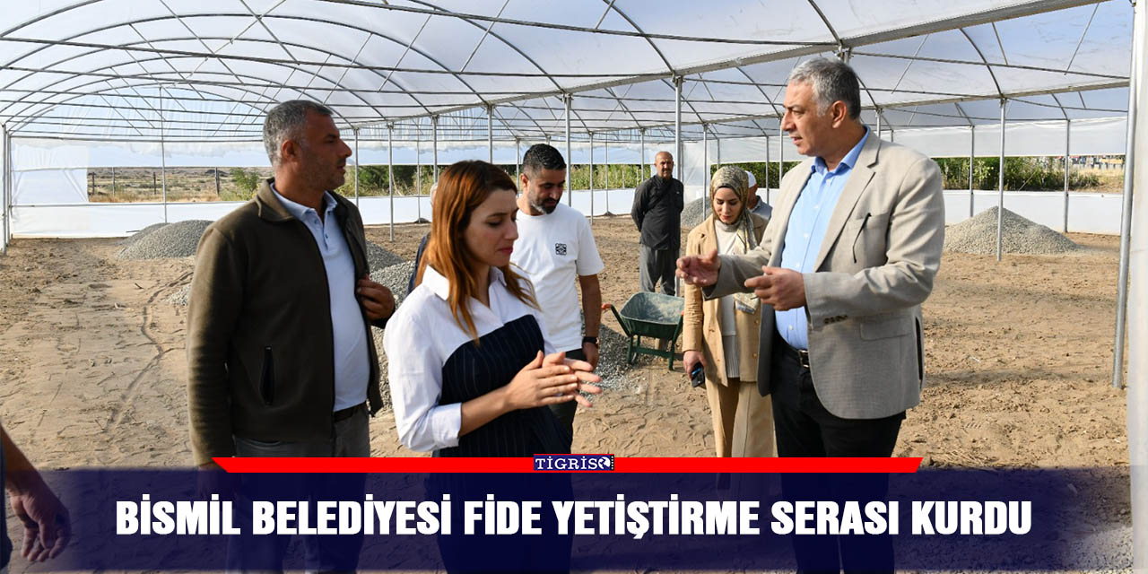 Bismil Belediyesi fide yetiştirme serası kurdu