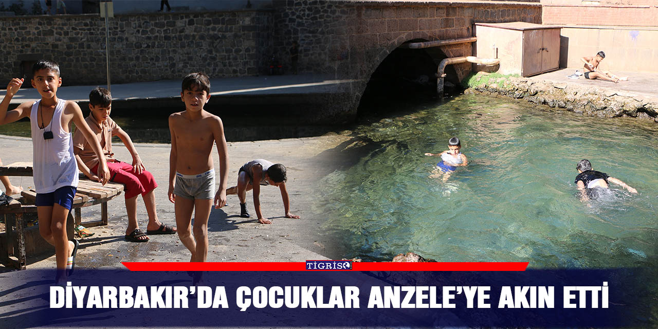 Diyarbakır’da çocuklar Anzele’ye akın etti