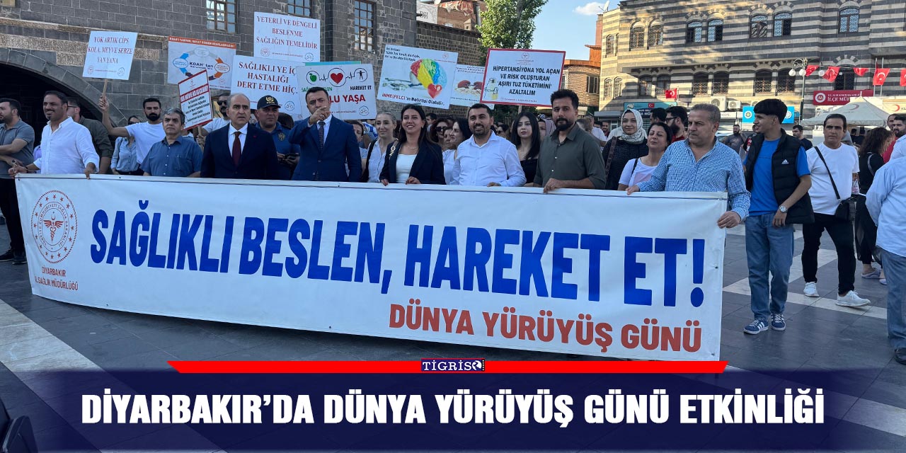 Diyarbakır’da Dünya yürüyüş günü etkinliği