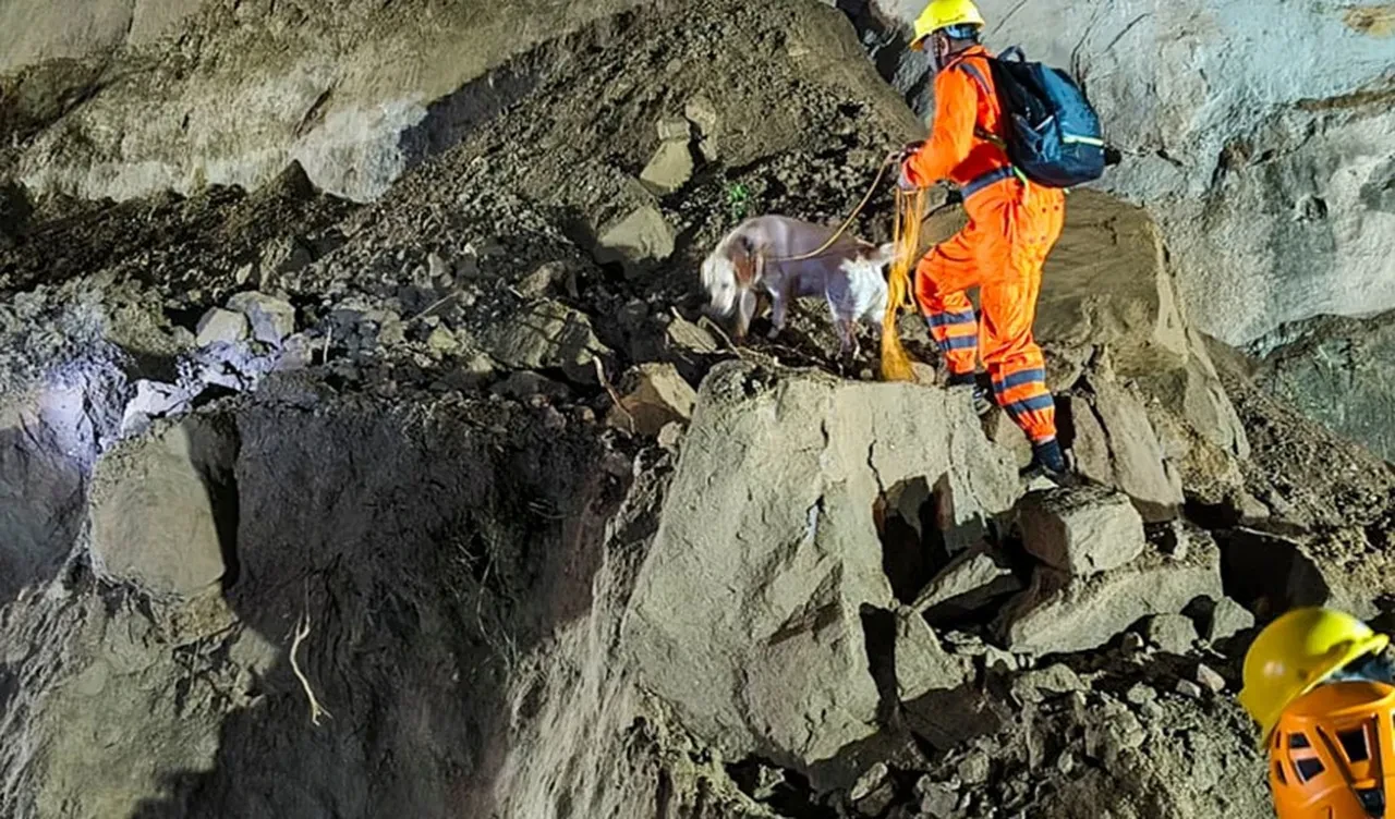 Otobüs heyelana kapıldı:15 ölü