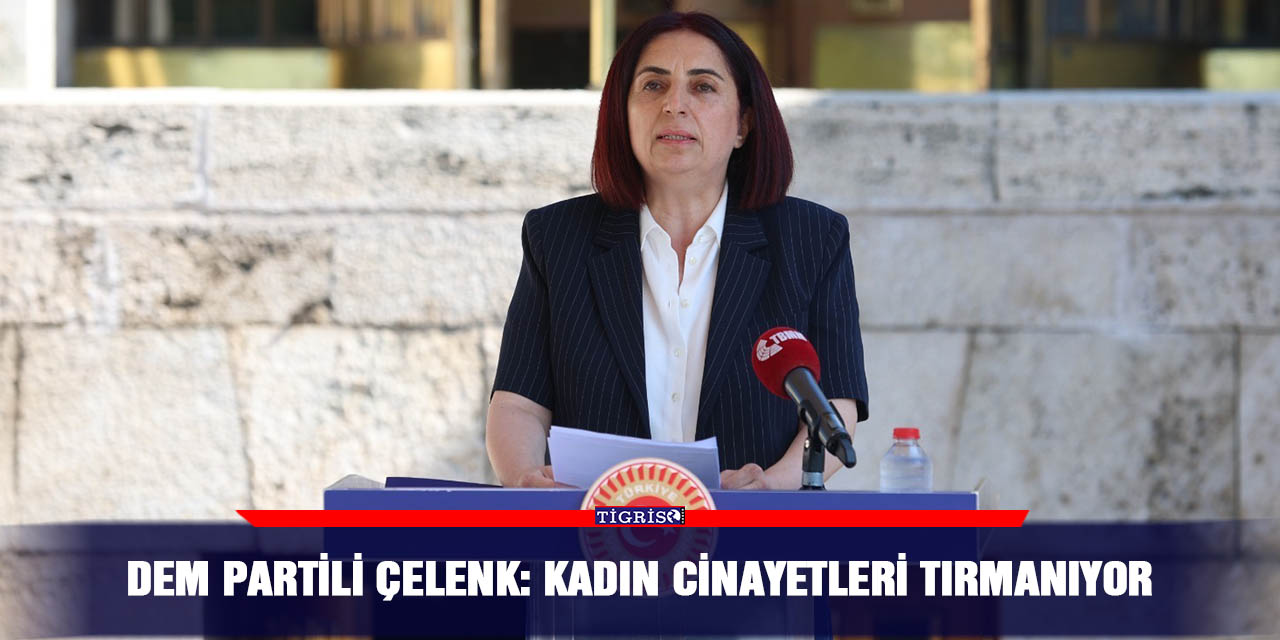 DEM Partili Çelenk: Kadın cinayetleri tırmanıyor