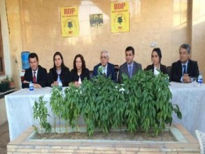 Hdp'li Irmak: Işid, Kürtler'e ulusal birlik ihtiyacını hissettirdi