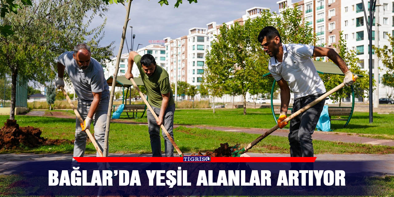 Bağlar’da yeşil alanlar artıyor