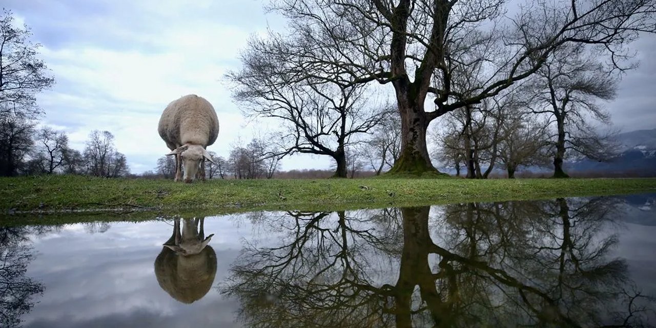 Milli parklarda yeni dönem: Kirleten hapse, izinsiz girene ağır para cezası