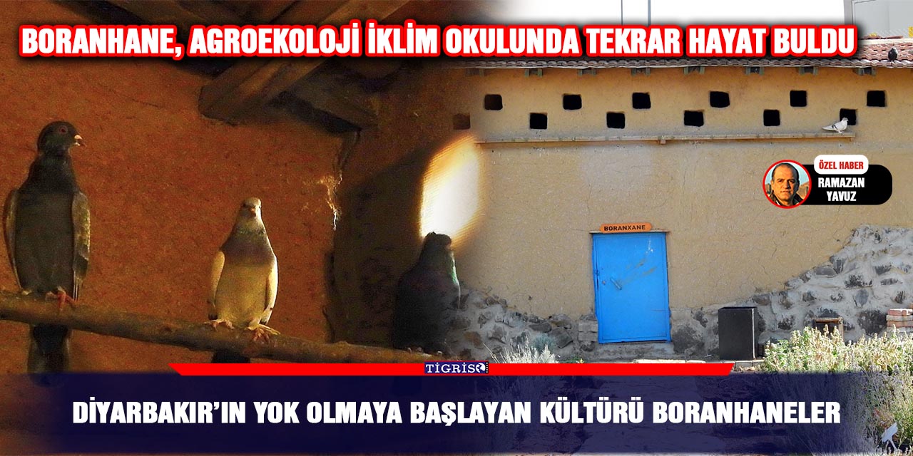Diyarbakır’ın yok olmaya başlayan kültürü boranhaneler