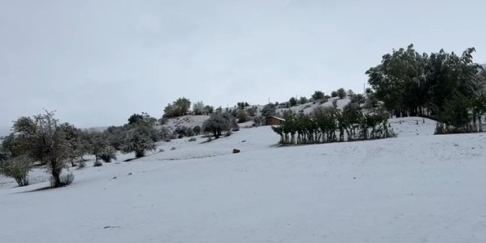 Bingöl’ün yüksek kesimlerine mevsimin ilk karı yağdı