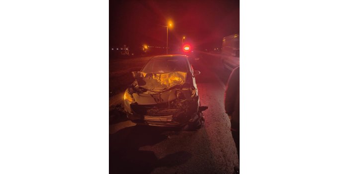 Siirt'te otomobil ile at çarpıştı: 1 yaralı