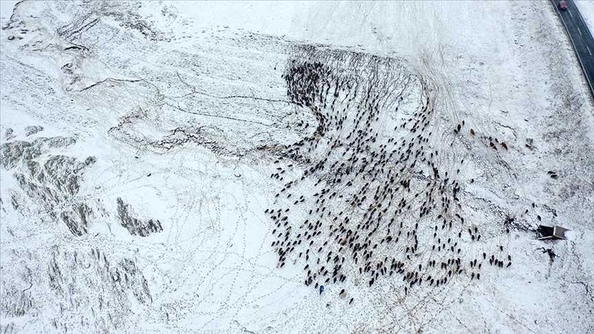 Yayladan dönen göçerlere kar sürprizi