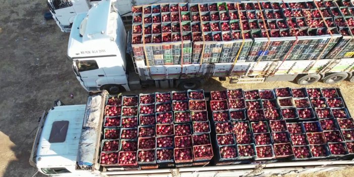 Nar üretiminde Adıyaman dünyaya açılıyor