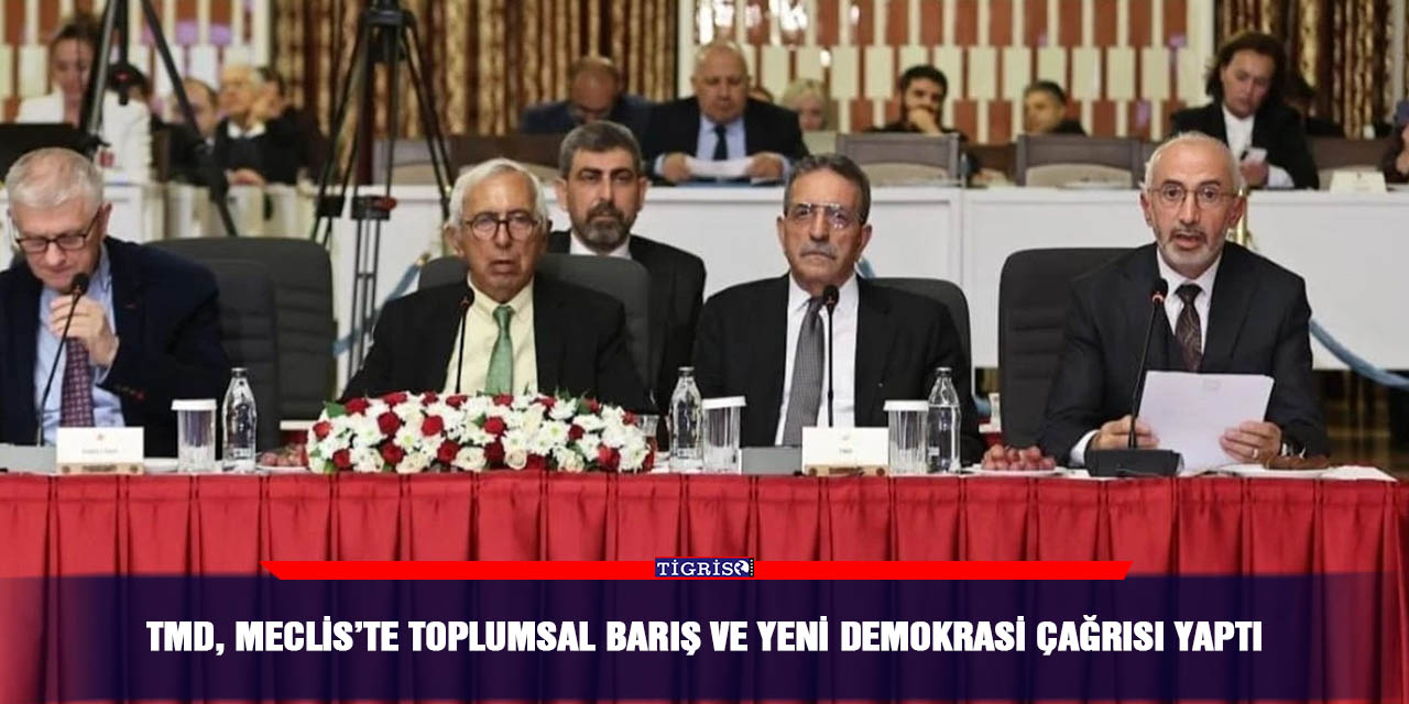 TMD, Meclis’te toplumsal barış ve yeni demokrasi çağrısı yaptı