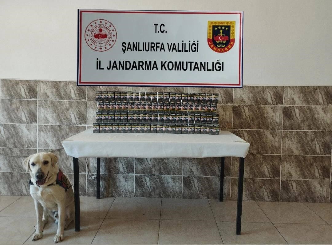 Şanlıurfa’da 7 bin paket kaçak sigara ele geçirildi
