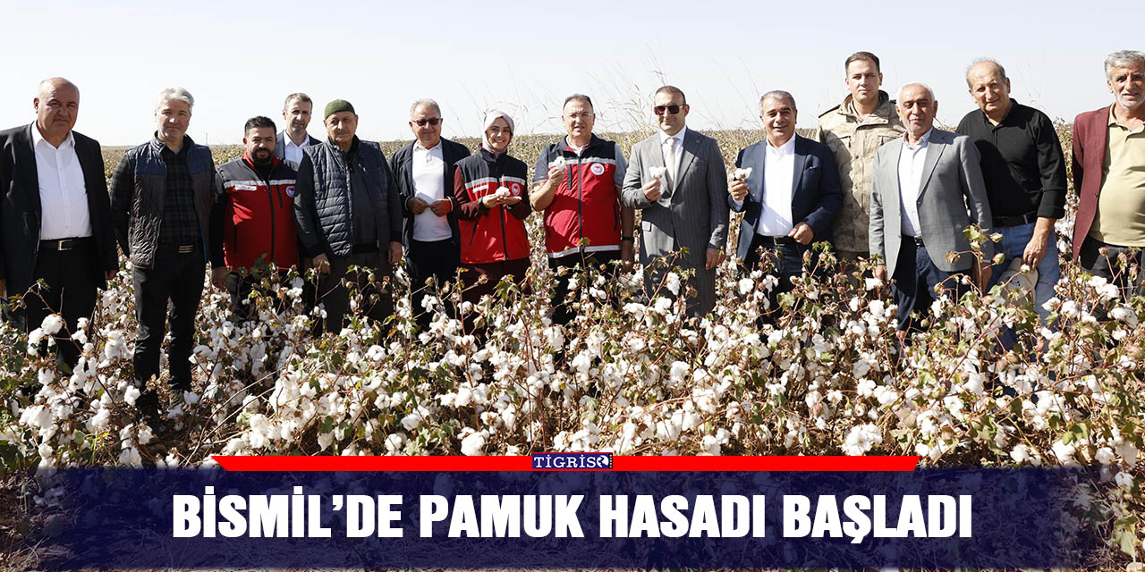 Bismil’de pamuk hasadı başladı