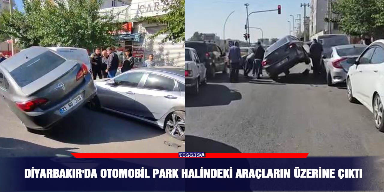 Diyarbakır'da otomobil park halindeki araçların üzerine çıktı