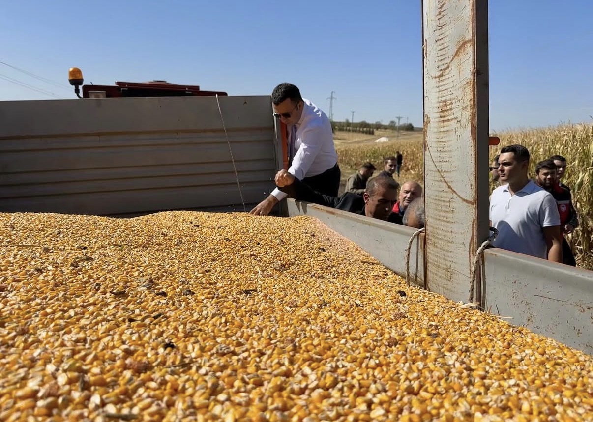 Kaymakam Akbulut, mısır hasadına katıldı
