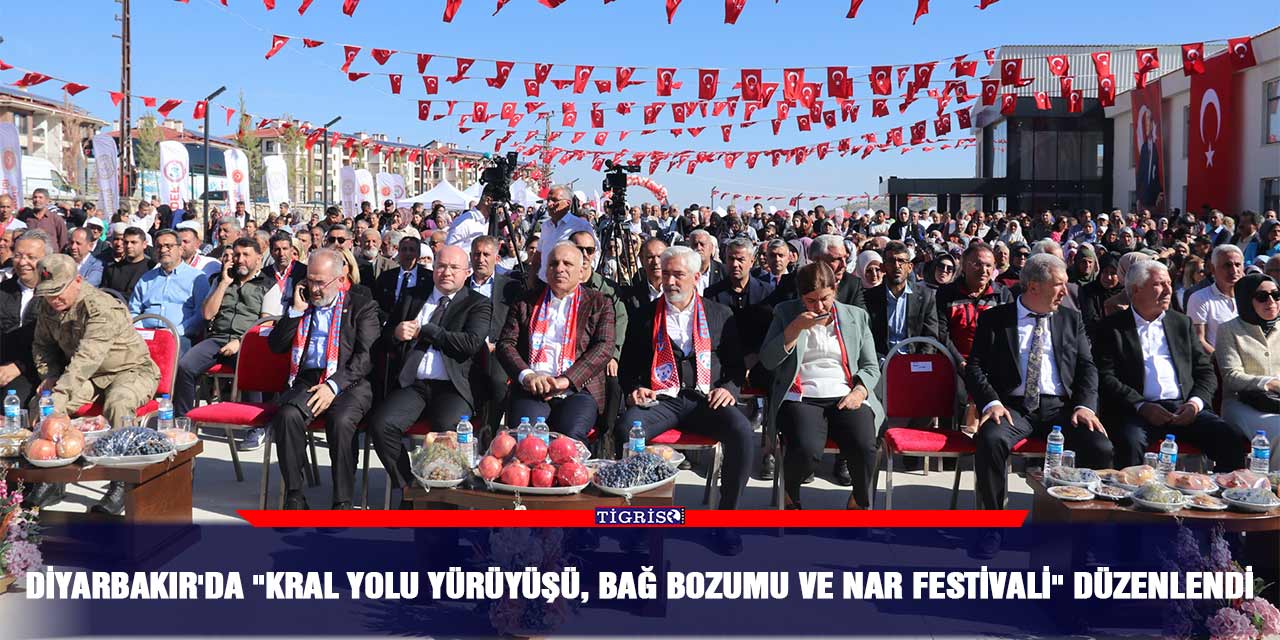 Diyarbakır'da "Kral Yolu Yürüyüşü, Bağ Bozumu ve Nar Festivali" düzenlendi