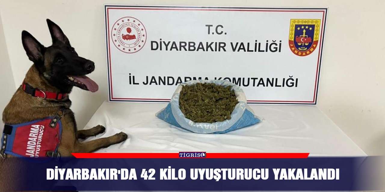 Diyarbakır'da 42 kilo uyuşturucu yakalandı