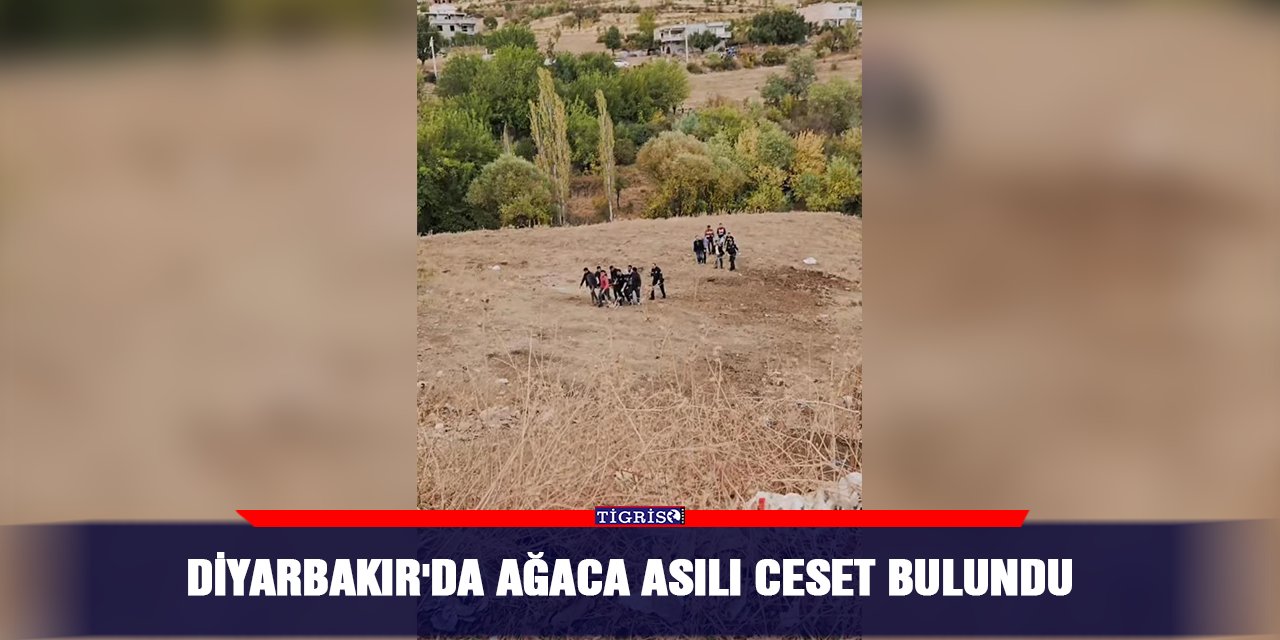 Diyarbakır'da ağaca asılı ceset bulundu