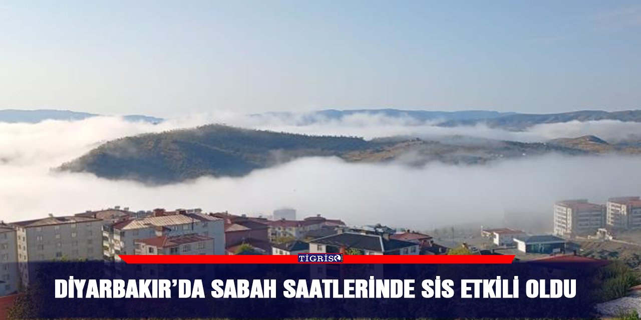 Diyarbakır'da sabah saatlerinde sis etkili oldu