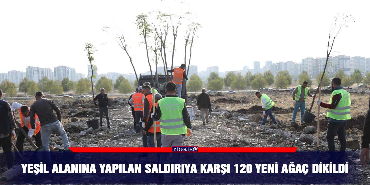 Yeşil alanına yapılan saldırıya karşı 120 yeni ağaç dikildi