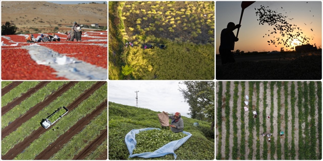 Türkiye’nin tarım haritası güncelleniyor