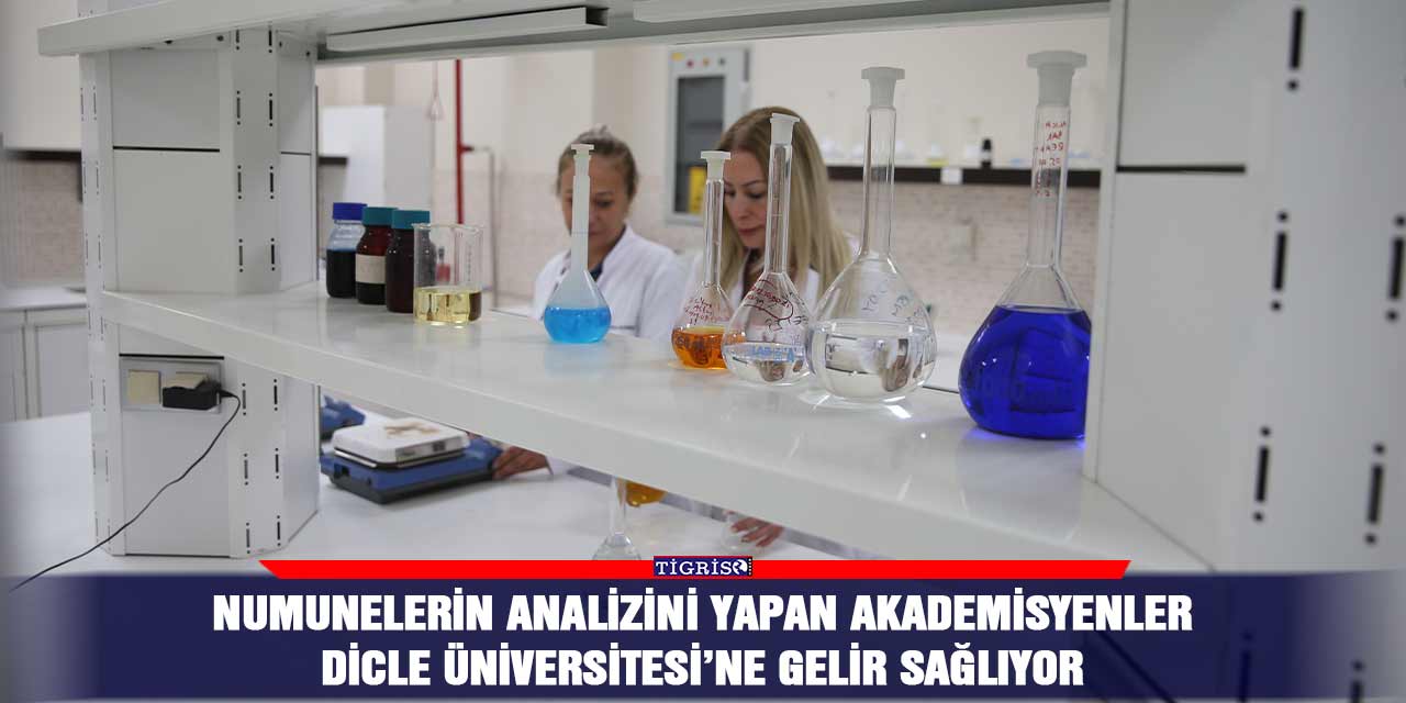 Numunelerin analizini yapan akademisyenler Dicle Üniversitesi’ne gelir sağlıyor