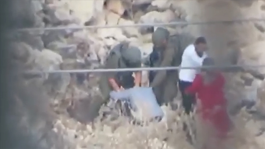 İsrail barbarlığı gölgesinde zeytin hasadı