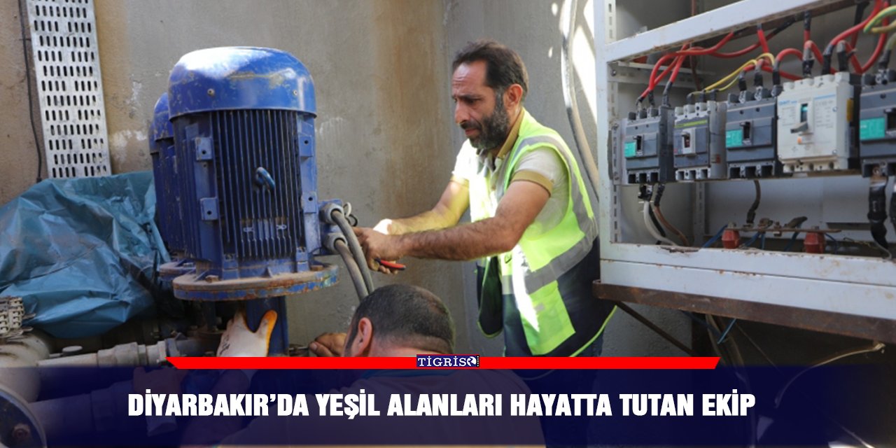 Diyarbakır’da yeşil alanları hayatta tutan ekip
