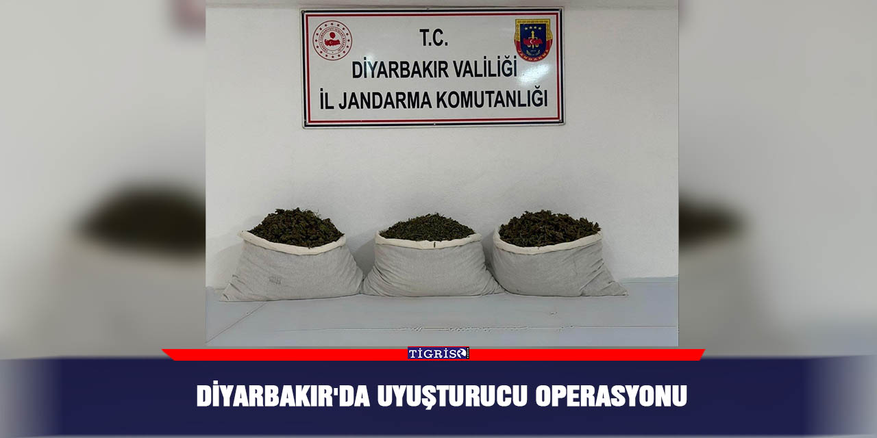 Diyarbakır'da uyuşturucu operasyonu