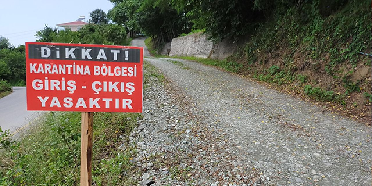 Bingöl’de şap alarmı: Bir köy tamamen karantinaya alındı