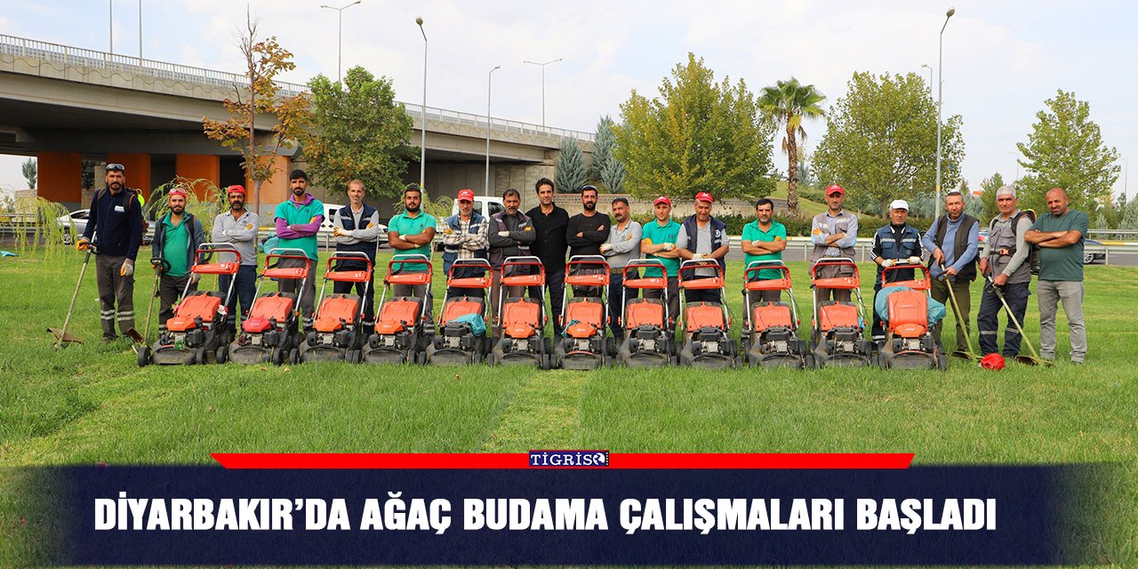 Diyarbakır’da ağaç budama çalışmaları başladı