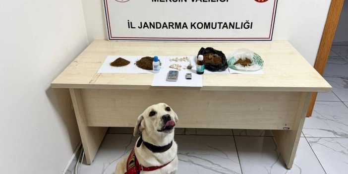 Mersin'de uyuşturucu operasyonu